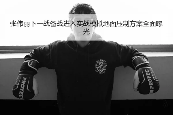 张伟丽下一战备战进入实战模拟地面压制方案全面曝光