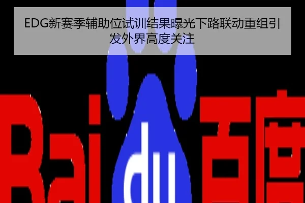 EDG新赛季辅助位试训结果曝光下路联动重组引发外界高度关注